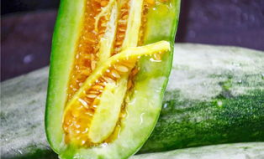 網(wǎng)紅視頻吃瓜最新,揭秘娛樂圈最新熱點事件