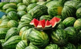 網(wǎng)上為什么會(huì)有吃瓜網(wǎng),吃瓜網(wǎng)背后的吃瓜文化興起