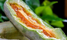 網(wǎng)紅有瓜吃,有瓜吃的背后故事