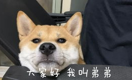 小狗眼小姐姐,萌態(tài)可掬的治愈系女神