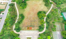 拱橋小姐姐,揭秘現(xiàn)代都市中的獨特魅力