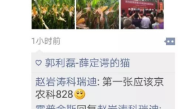 趙巖濤寫真,光影交織的藝術(shù)人生