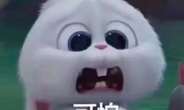 推特男網(wǎng)紅吃瓜事件真相,真相背后竟是這樣！”