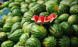 隴南市網(wǎng)紅吃瓜事件真相,真相背后的網(wǎng)絡(luò)狂歡與反思