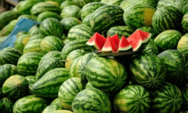 南充網(wǎng)紅杜蕭吃瓜,吃瓜成癮，揭秘娛樂圈幕后故事