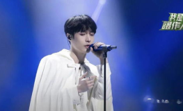 網(wǎng)紅歌手樊,音樂才子，網(wǎng)紅歌手的崛起之路