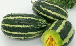 911黑料吃瓜爆料今日大瓜,今日大瓜震驚娛樂(lè)圈