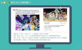 網(wǎng)紅頁(yè)12,揭秘網(wǎng)紅背后的秘密與魅力